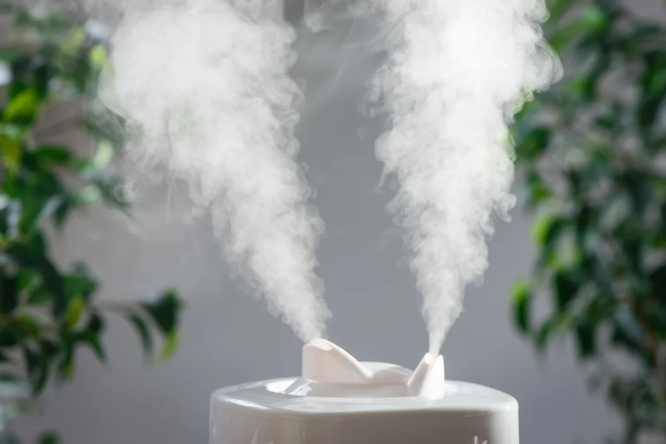 Best humidifiers for home for 2020